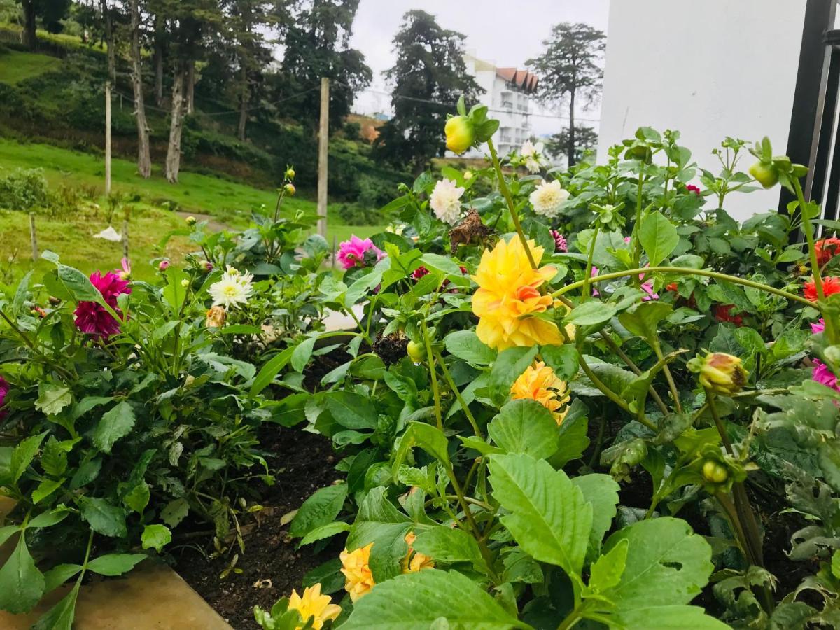 Queensland Hotel Nuwara Eliya Exterior photo